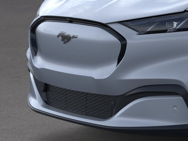 Ford Mustang Mach-E Vehicle Full-screen Gallery Image 19