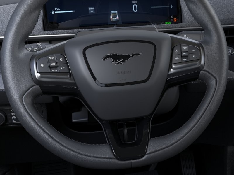 Ford Mustang Mach-E Vehicle Full-screen Gallery Image 14