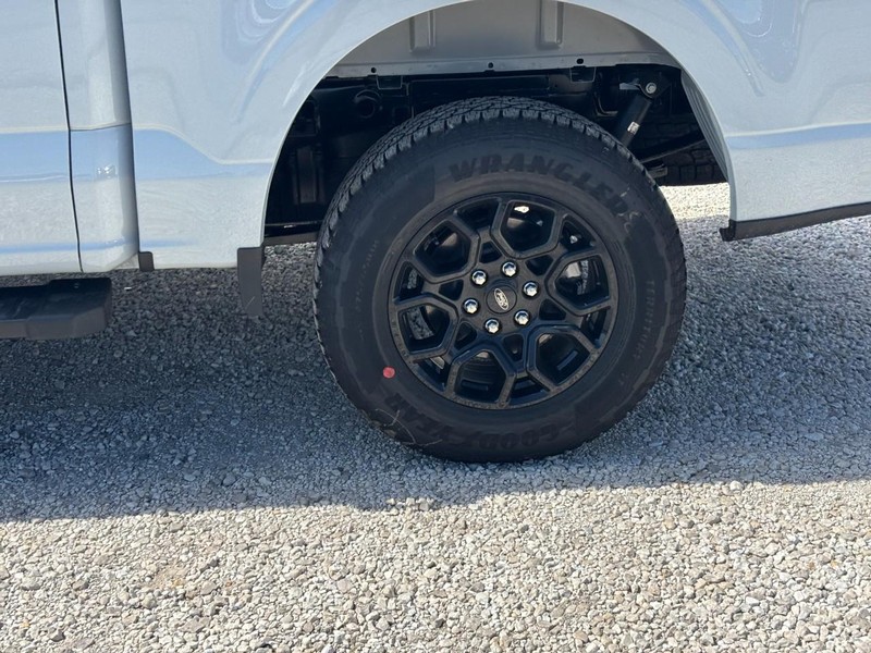 Ford F-150 Vehicle Full-screen Gallery Image 11