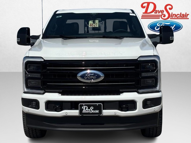 Ford Super Duty F-250 SRW Vehicle Image 02