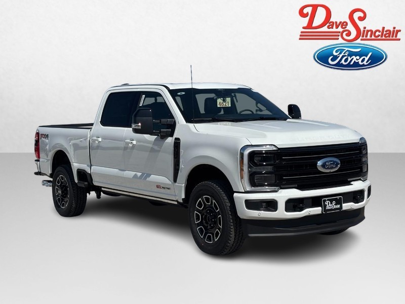 Ford Super Duty F-250 SRW Vehicle Image 04
