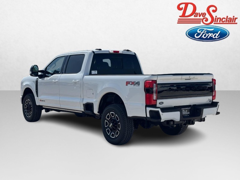 Ford Super Duty F-250 SRW Vehicle Image 09
