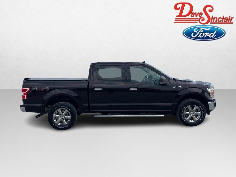 Ford F-150 Vehicle Image 05