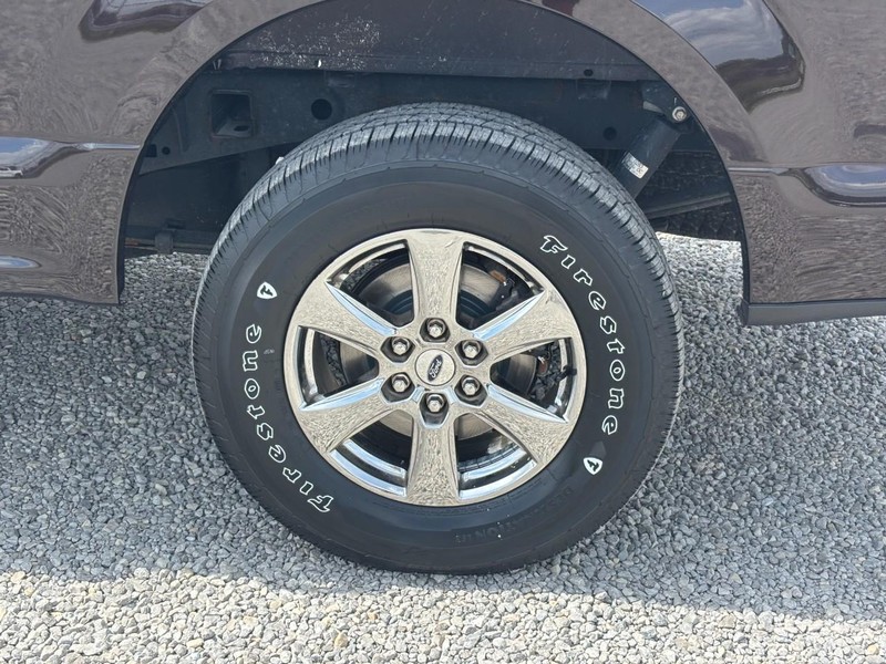 Ford F-150 Vehicle Image 12