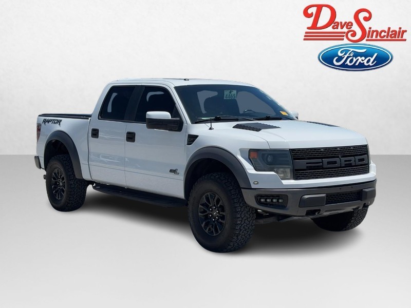Ford F-150 Vehicle Image 04