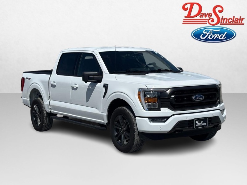 Ford F-150 Vehicle Image 04