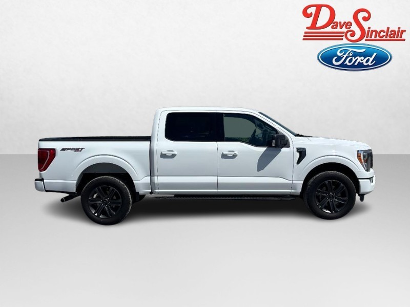 Ford F-150 Vehicle Image 05