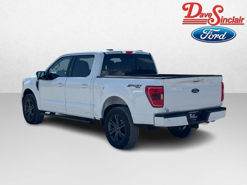 Ford F-150 Vehicle Image 09