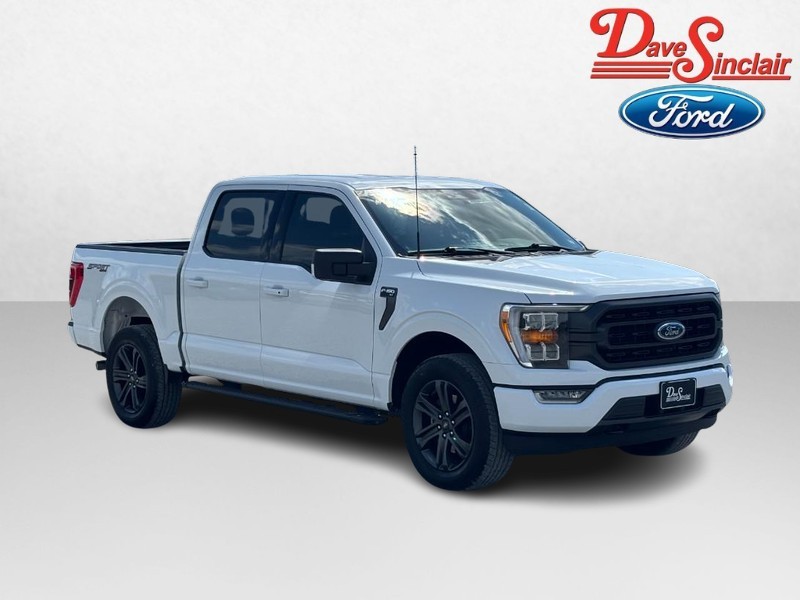 Ford F-150 Vehicle Image 04