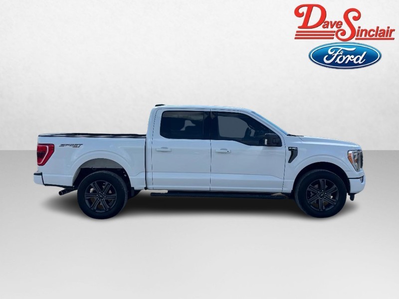 Ford F-150 Vehicle Image 05