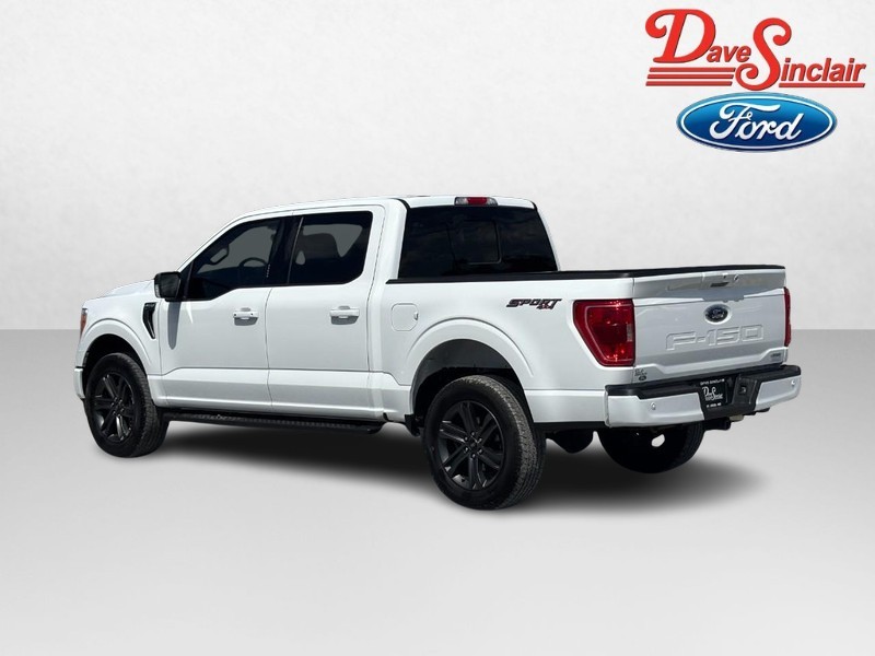 Ford F-150 Vehicle Image 09