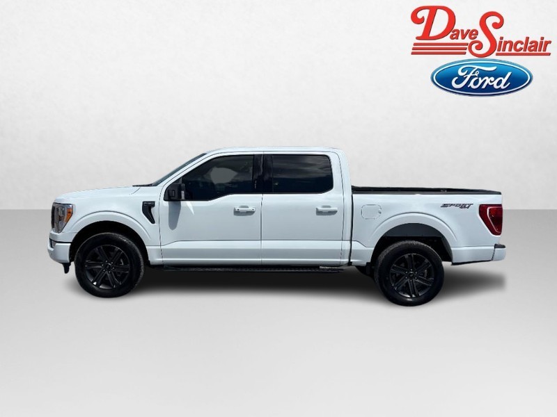 Ford F-150 Vehicle Image 10