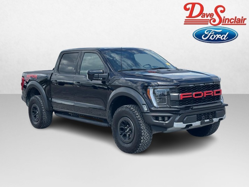 Ford F-150 Vehicle Image 04