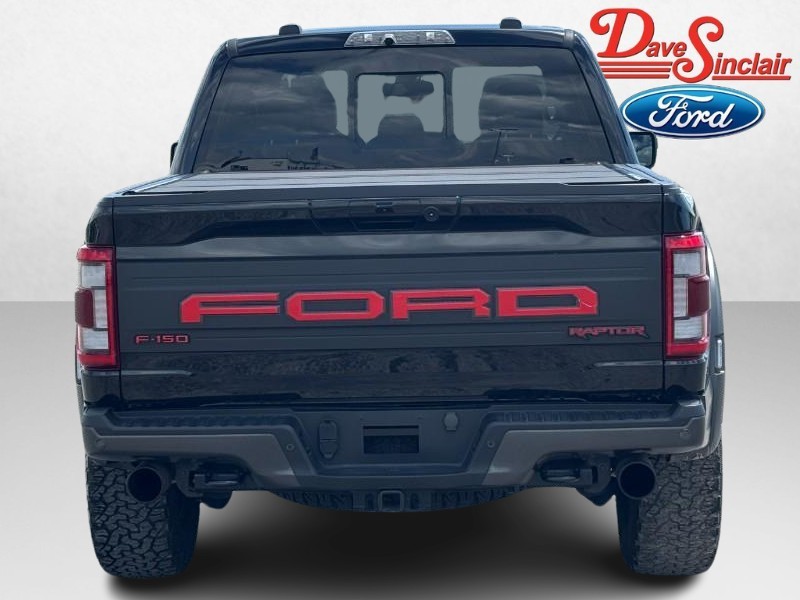 Ford F-150 Vehicle Image 08