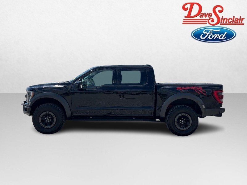Ford F-150 Vehicle Image 10