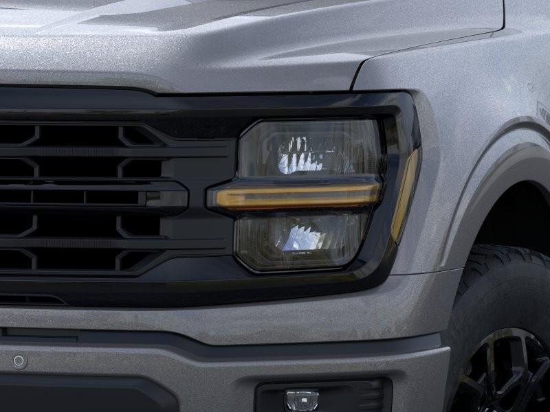 Ford F-150 Vehicle Image 20