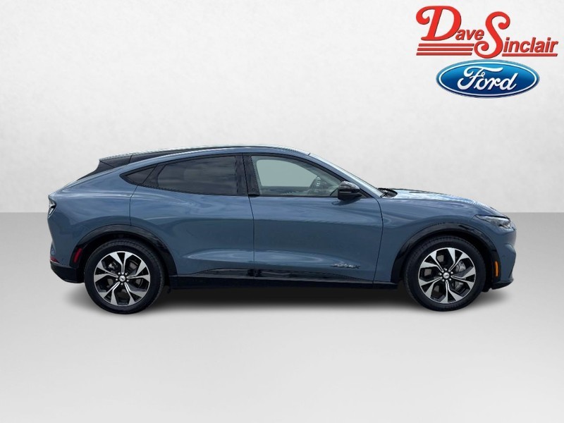 Ford Mustang Mach-E Vehicle Image 05