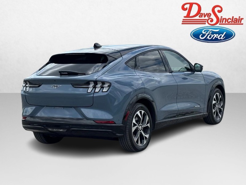 Ford Mustang Mach-E Vehicle Image 07