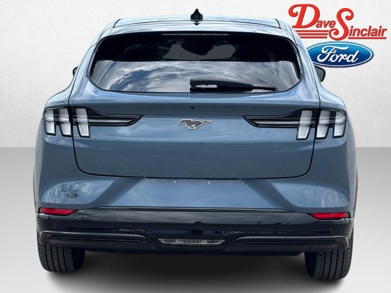Ford Mustang Mach-E Vehicle Image 08