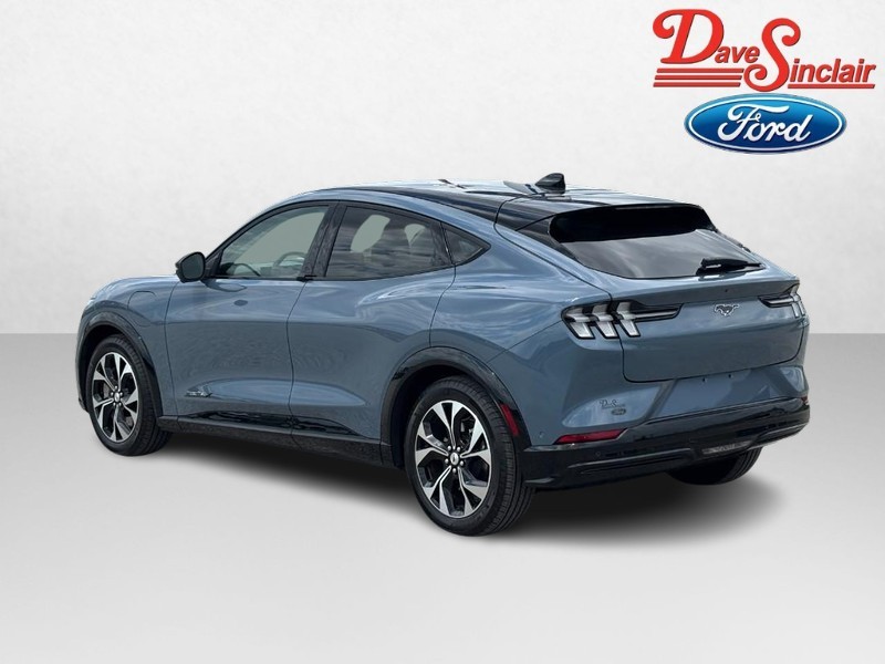 Ford Mustang Mach-E Vehicle Image 09