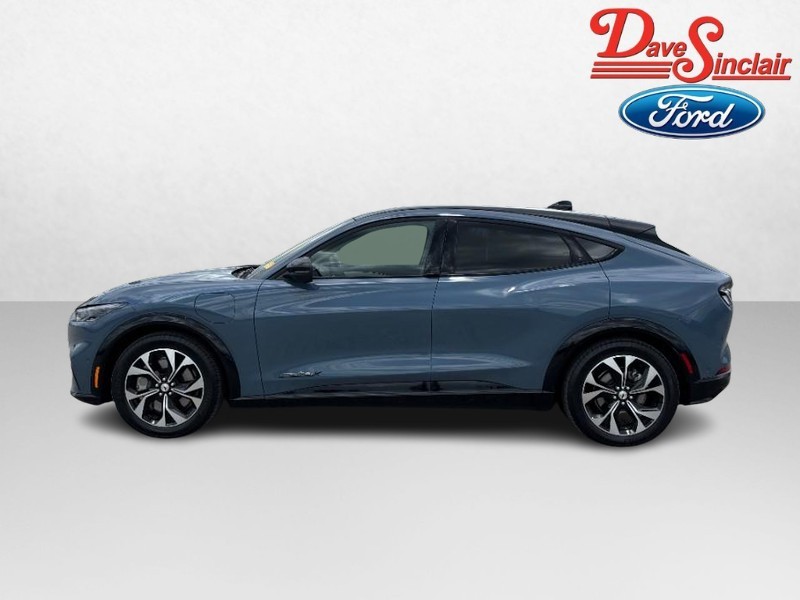 Ford Mustang Mach-E Vehicle Image 10