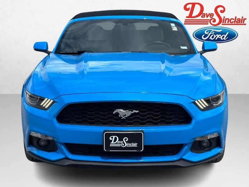 Ford Mustang Vehicle Image 02