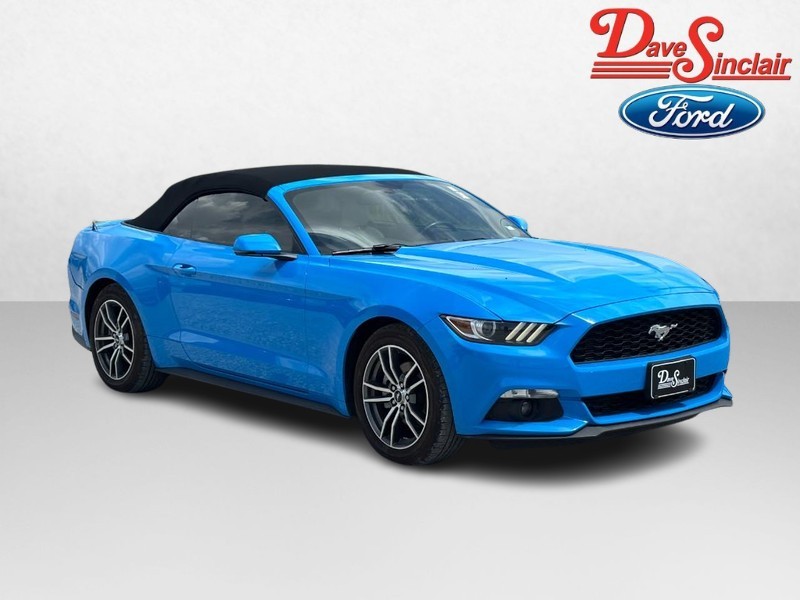 Ford Mustang Vehicle Image 04