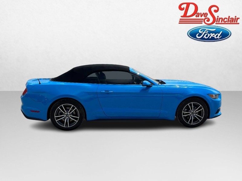 Ford Mustang Vehicle Image 05