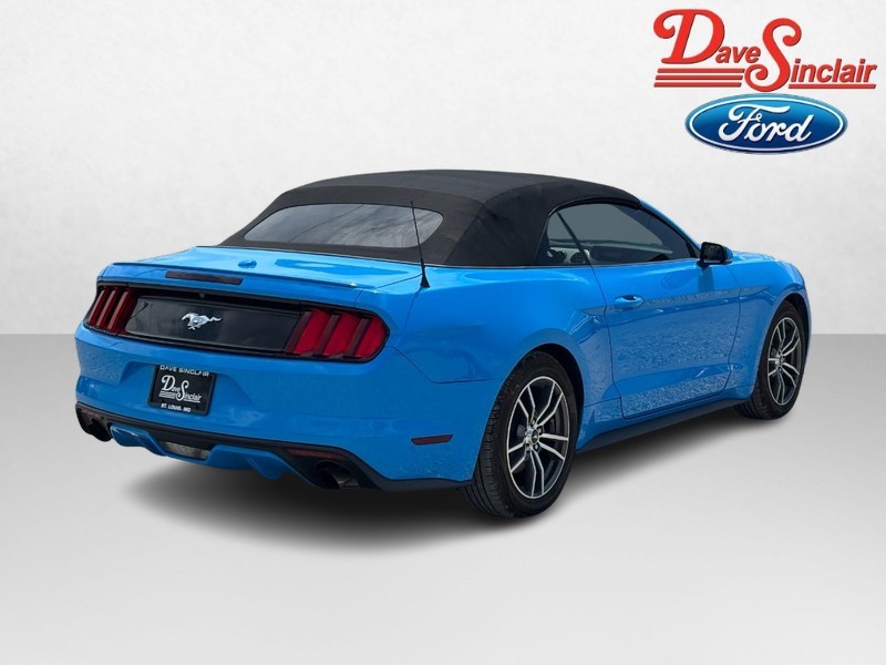Ford Mustang Vehicle Image 07