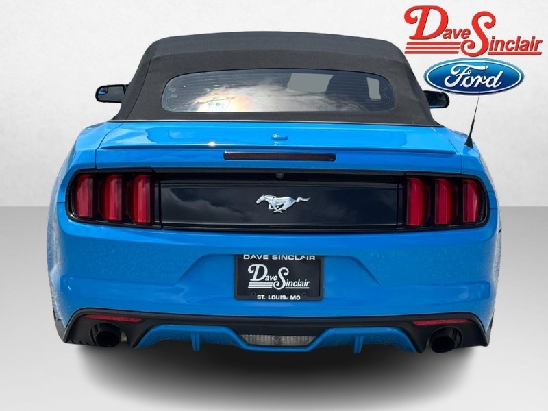 Ford Mustang Vehicle Image 08