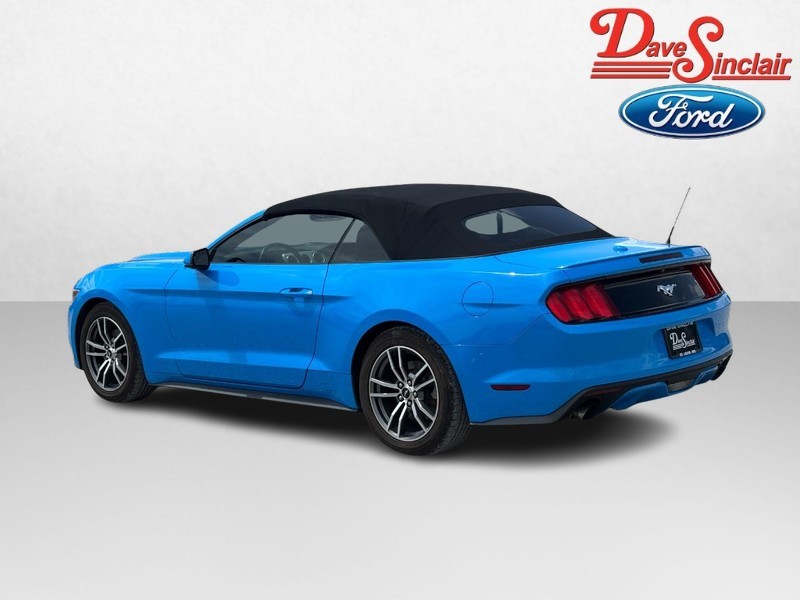 Ford Mustang Vehicle Image 09