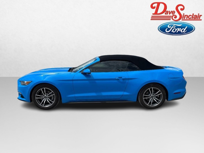 Ford Mustang Vehicle Image 10