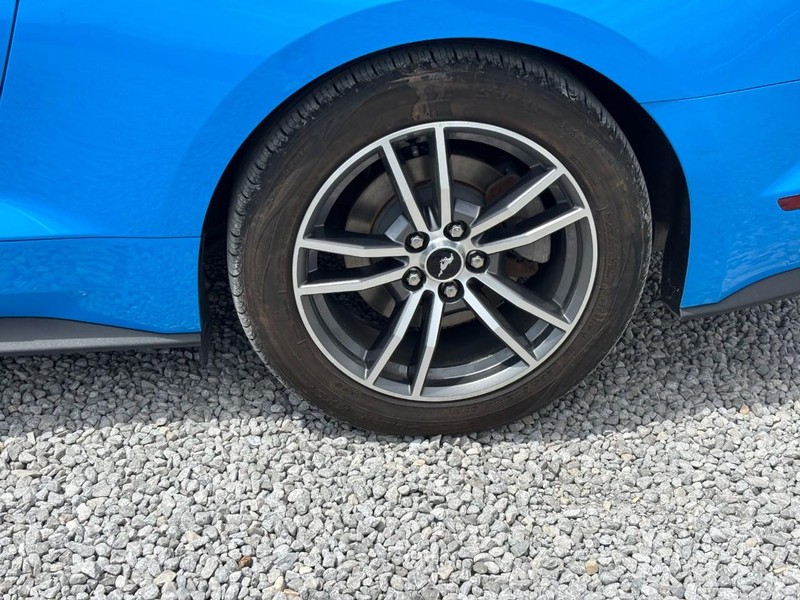 Ford Mustang Vehicle Image 12