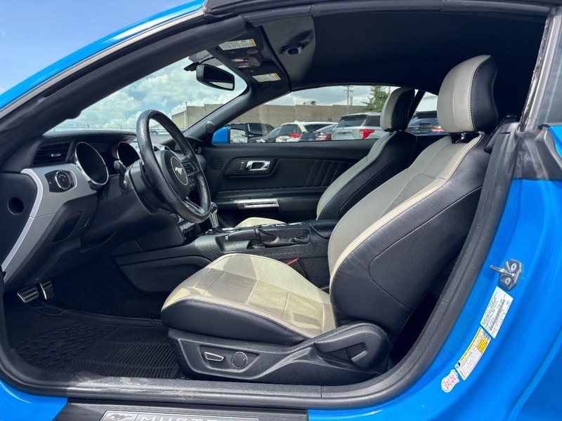 Ford Mustang Vehicle Image 14
