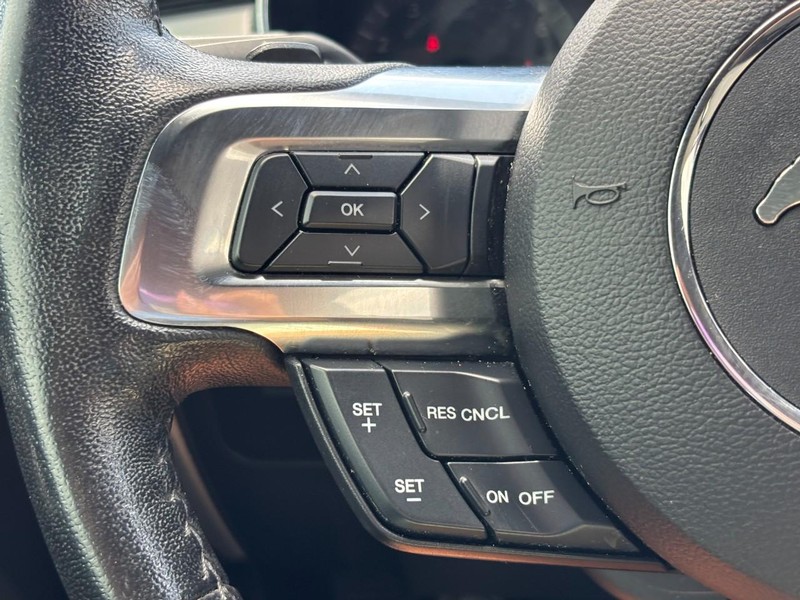 Ford Mustang Vehicle Image 17