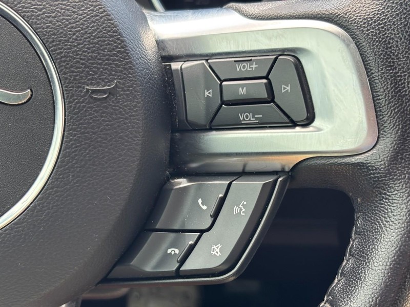 Ford Mustang Vehicle Image 18