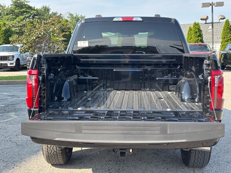 Ford F-150 Vehicle Full-screen Gallery Image 11
