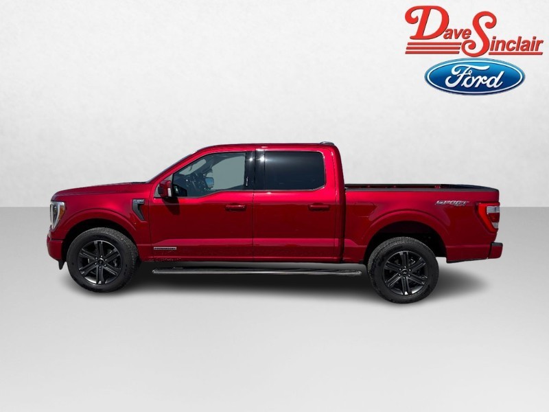 Ford F-150 Vehicle Image 10