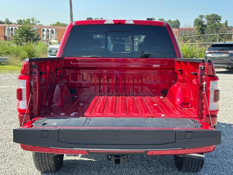 Ford F-150 Vehicle Image 11