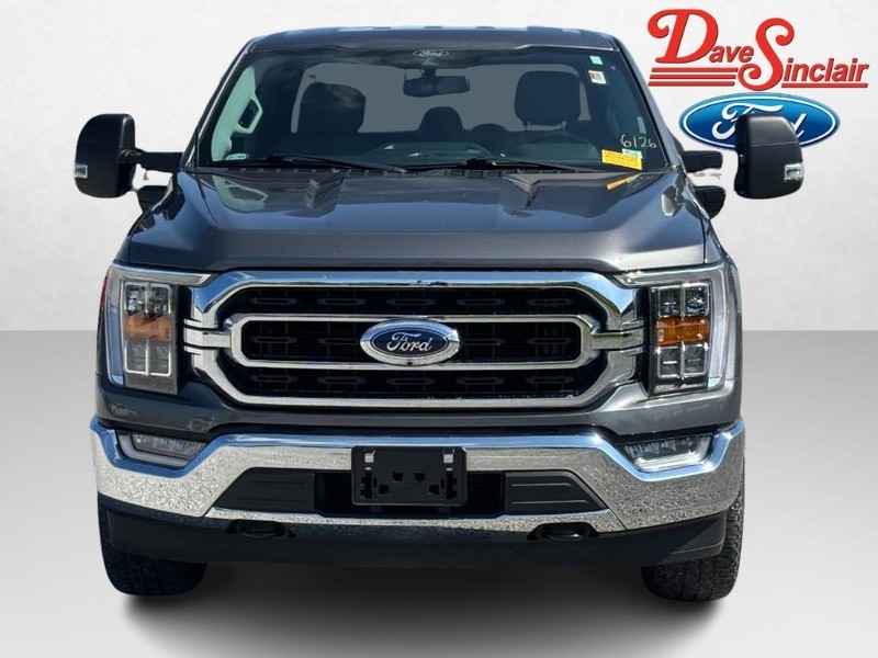 Ford F-150 Vehicle Image 02