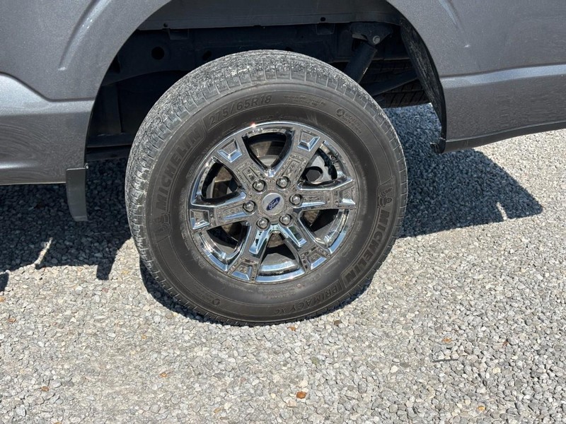 Ford F-150 Vehicle Image 12