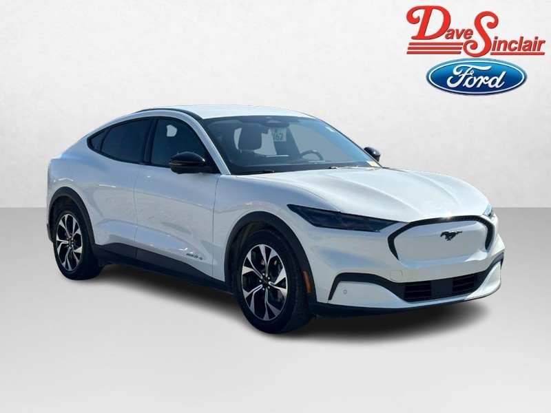 Ford Mustang Mach-E Vehicle Image 04