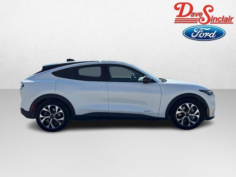 Ford Mustang Mach-E Vehicle Image 05
