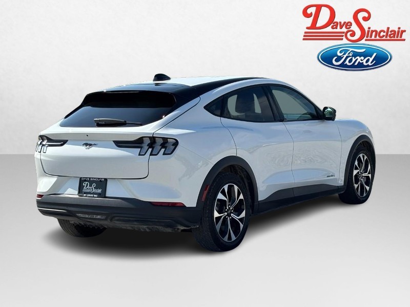 Ford Mustang Mach-E Vehicle Image 07