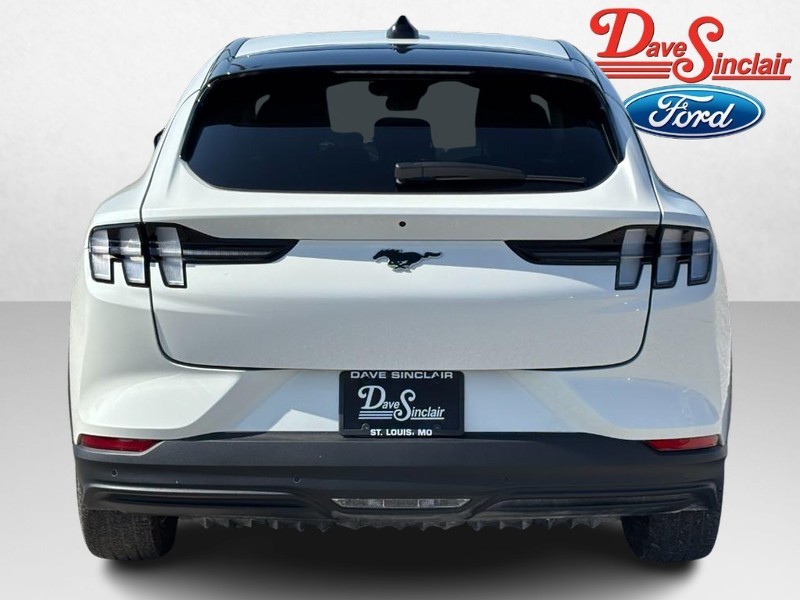 Ford Mustang Mach-E Vehicle Image 08