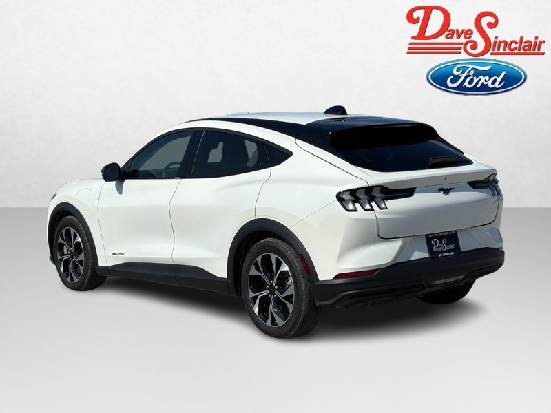 Ford Mustang Mach-E Vehicle Image 09