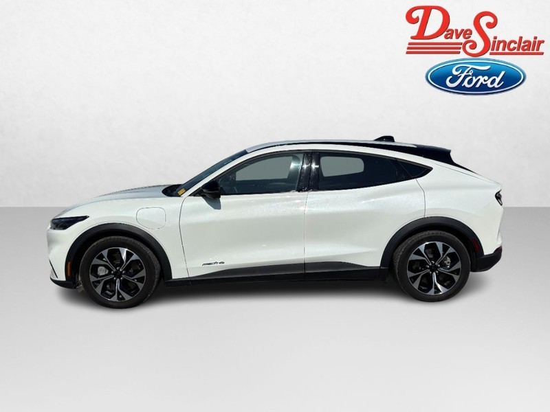 Ford Mustang Mach-E Vehicle Image 10