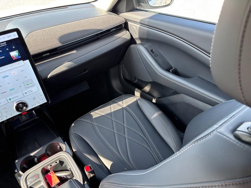 Ford Mustang Mach-E Vehicle Image 16