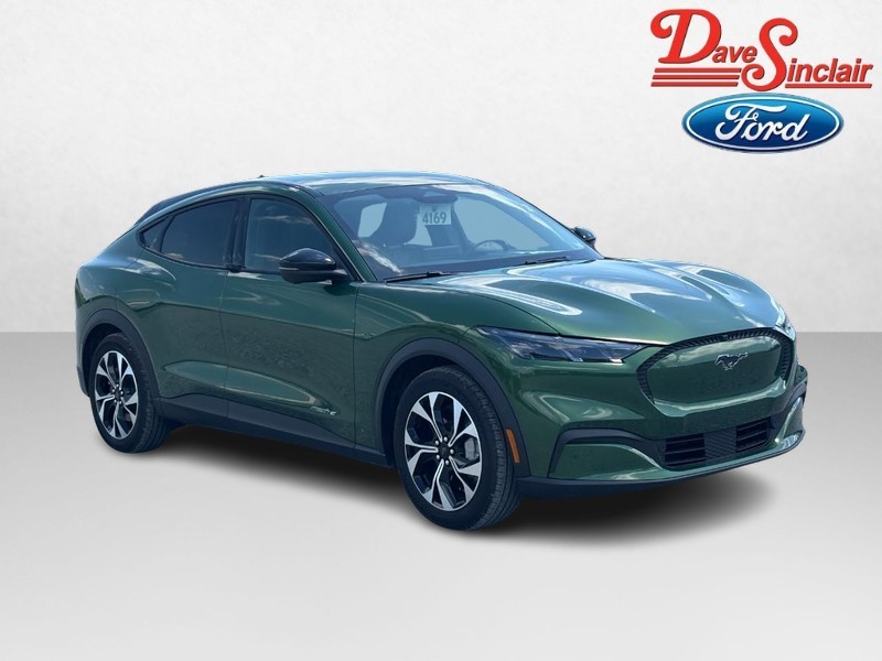 Ford Mustang Mach-E Vehicle Image 04