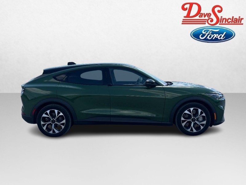 Ford Mustang Mach-E Vehicle Image 05